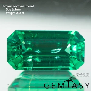 Piedra tallada - Esmeralda colombiana hidrotermal laboratorio cultivado octágono 8x4mm 0,76ct - Imagen 1 de 4