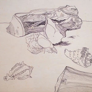 Karl Erich Müller Strandgut Stillleben Ostdeutsche Kunst signiert Zeichnung 1951 - Picture 1 of 4