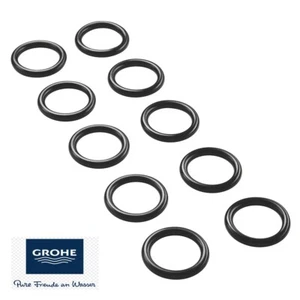 RICAMBIO O-RING PER TUBO CACCIATA GROHE 43880000M - Foto 1 di 1