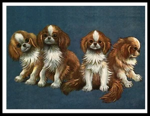 JAPANESE CHIN GROUP OF LITTLE DOGS VINTAGE STYLE DOG ART PRINT POSTER - Picture 1 of 1