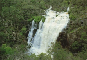 Postcard the Grampians Spectacular McKenzie Waterfall Victoria - Bild 1 von 2