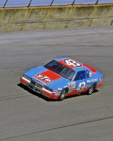 1985 STP Pontiac RICHARD PETTY Glossy 8x10 Photo Daytona Speedway Print Poster Cover