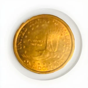 2000p Sacagawea One Dollar Coin Shawnee Indian - Picture 1 of 2