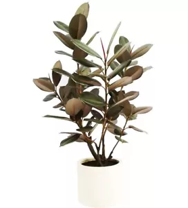CG Hunter Faux Rubber Tree 1.2M Living Room Decoration New - Picture 1 of 1