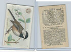 J7, Church & Dwight, Useful Birds America 3rd Ser., 1922, #18 Black-c Chickadee