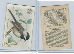 J7, Church & Dwight, Useful Birds America 3rd Ser., 1922, #18 Black-c Chickadee - Picture 1 of 1