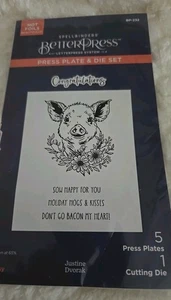 Nuovo set di piastre e matrici Spellbinders BetterPress di Justine Dvorak-Daisy - Foto 1 di 5