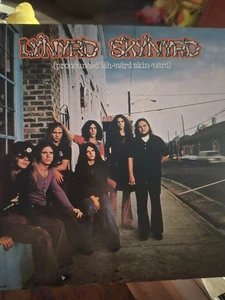 LYNYRD SKYNYRD Pronounded Leh-nerd Skin-nerd MCA-363 LP Vinyl vg+ - Picture 1 of 5