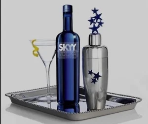 Michael Aram 13513 Skyy Vodka Limited Edition Stainless Cocktail Shaker NEW NIB - Picture 1 of 8