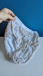 Vintage Ashley Taylor Intimates Size 7 100% Cotton Panties 90s Y2K NOS DEADSTOCK - Picture 1 of 7
