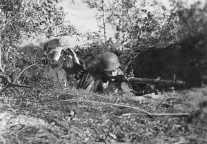 WWII B&W Photo German MG34 Position MG34 Machine Gun MG42 World War Two / 2284 - Picture 1 of 1
