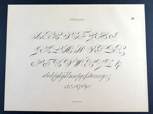Italian Script - 1877 Frederick S. Copley vintage calligraphy alphabet print - Picture 1 of 3