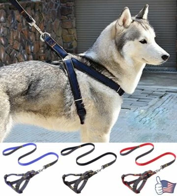 No Pull Choking Dog Harness Soft Adjustable Control Pet Vest for Outdoor Walking - Image 1 of 4