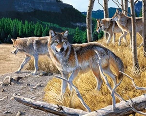 WOLF PACK - 3D PICTURE PRINT 400mm x 300mm - Picture 1 of 2