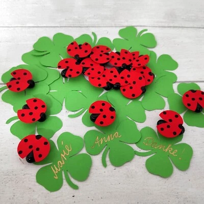 Gastgeschenke Taufe Hochzeit Jugendweihe Geburtstag Samenbombe BIO Glückskäfer - Bild 1 von 4