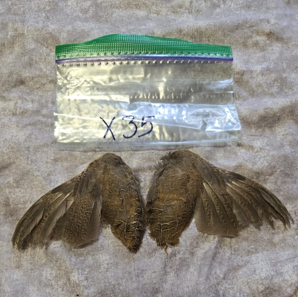 1 комплект перепелиных крыльев - x35 - Изображение 1 из 1
