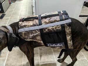 cabelas advanced dog vest