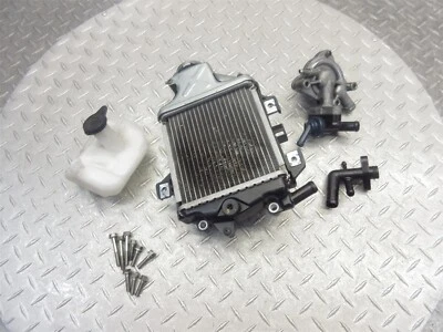 Lote de tanque de desbordamiento de refrigerante bomba de agua radiador Honda PCX150 PCX 150 2013 12-13 Foto 1 de 4