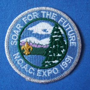 Boy Scouts Washington DC NCAC 1991 Council Patch BSA Uniform Outdoors Hiking USA - Picture 1 of 5