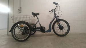 Triciclo Elettrico Adulti - Foto 1 di 9