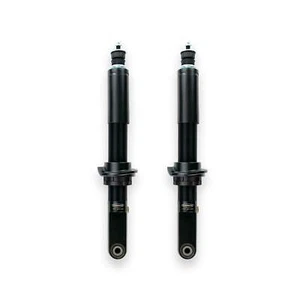 Dobinsons Pair Of Ims Struts (Ims45-50642) IMS45-50642 - Foto 1 di 1