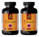 Echinacea Kapseln 400 mg - jünger aussehende Haut - Anti-Aging Antimykotikum - 2 Flaschen