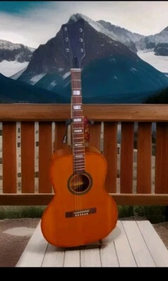 Vintage National Super Rare  Acoustic Guitar New Top Binding  - Image 1 of 4