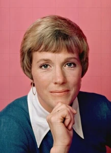 JULIE ANDREWS - Lovely 10" x 8" Colour Full Face Portrait Photograph 1970s - Bild 1 von 1