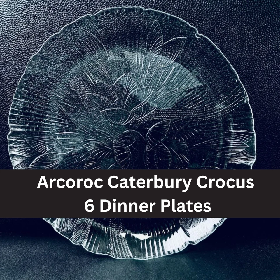 6 Arcoroc Crocus Canterbury Clear Glass DINNER Plates 10 5/8" Plate Set of 6 Vtg - Image 1 of 1