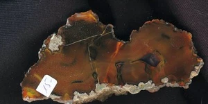 Achat/Agate "Condorachat" aus Argentinien - TOP !!!! - Bild 1 von 1