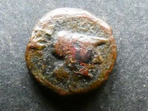 T13.12. Italy, Apulia, Caelia, AE13, c.206-195 BCE. - Picture 1 of 2
