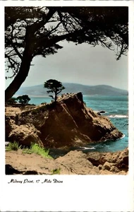 Vintage RPPC Photo Postcard Midway Point 17 Mile Drive Monterey CA Colored  - Picture 1 of 3