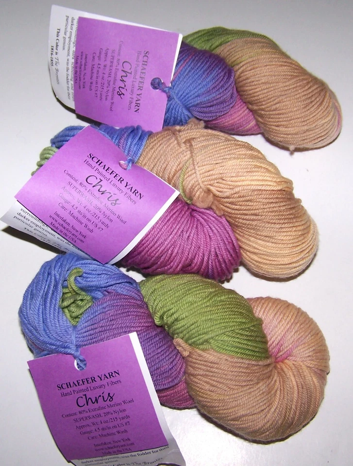 TRES MADEJAS DE 4 OZ Schaefer CHRIS pintadas a mano merino e hilo de nailon #THE BRONTES Foto 1 de 1