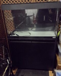 Fluval Roma 125 Aquarium Tank and cupboard - collect only Leyland, Lancashire 