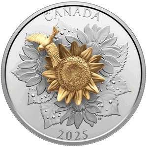 2025 Canada Goldfinch and the Bloom 5 oz Silber High Relief Gilded Coin - Bild 1 von 9