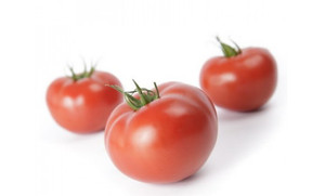Tomato MAHITOS F1 seeds hybrid Red tomatoes Holland