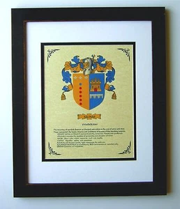 STEMMA ARALDICA ~ STEMMA FAMIGLIA SALINAS ~ INCORNICIATO - Foto 1 di 2