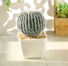 TIVRRGATI Faux Cacti assorted artificial cactus plant in square white pots