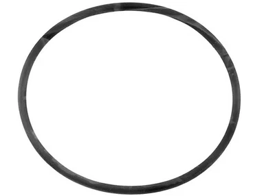 Junta tórica bomba de agua GM 90354908 genuina Foto 1 de 3