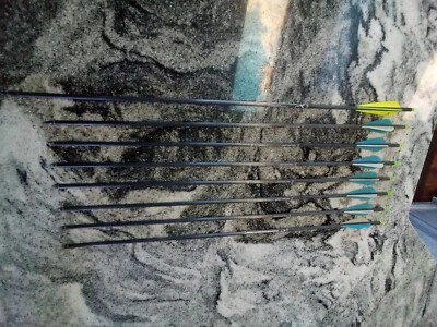 7+1 pcs. Game Tracker Carbon Express Terminator Select 4560 - Image 1 of 4