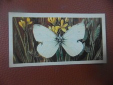 Great Britain Brooke Bond original 1963 tea card "British Butterflies",  No.41.