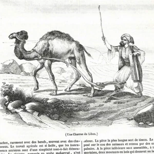 Les laboureurs du Liban - Charrue Paysan -   Article de presse 1840 - Picture 1 of 2