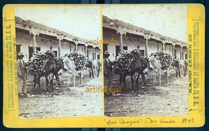 Santa Fe New Mexico Territory 2 Ladungen Governor's Palace braun Stereoansicht 1895 - Bild 1 von 3