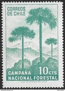 SKV)  1967. Chile. National Forestry Campaign. 1 stamp. Mnh. - Picture 1 of 1