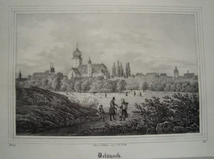 Delitzsch Sachsen alte Lithographie aus Saxonia 1835-1841 - Picture 1 of 1