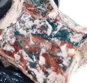 1.9oz Idaho Sunset Lone Juniper Jasper Agate Rough Raw Natural Rare Low Stock - Picture 1 of 10