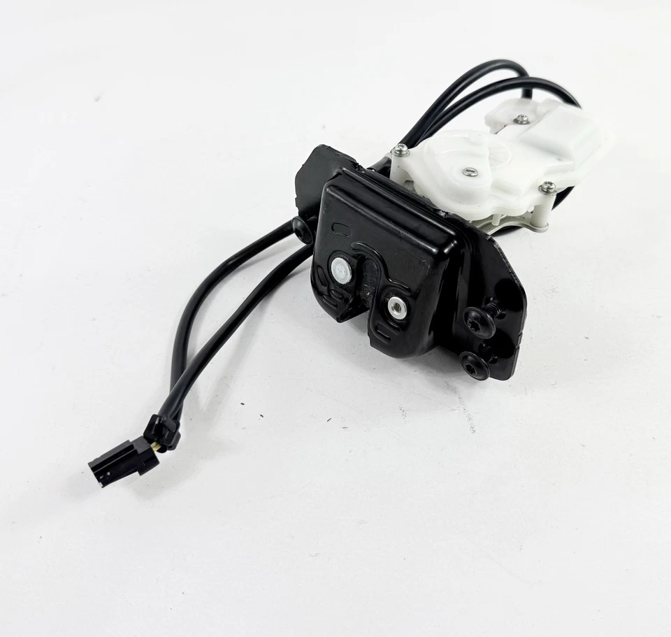 Actuador de bloqueo de pestillo de puerta trasera para maletero Ford Taurus X 2008-2009 8A4Z-7843150-A OEM Foto 1 de 4