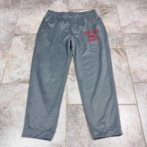 Nike Ohio State Buckeyes Herren Dri-Fit Spotlight Hose 2XL grau NCAA Freizeit - Bild 1 von 8