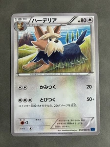 Herdier 050/060 Unlimited Collection X Japanese Pokemon Card TCG FREE SHIP - Picture 1 of 2