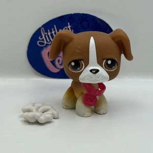 Boxer Hund #25 mit Zubehör - Original Littlest Pet Shop - Hasbro LPS - Bild 1 von 5